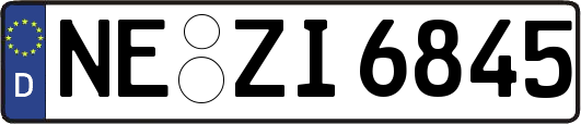 NE-ZI6845