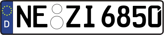 NE-ZI6850