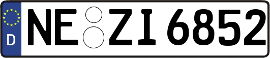 NE-ZI6852