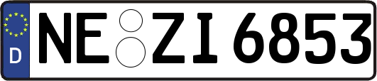 NE-ZI6853