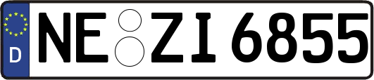 NE-ZI6855