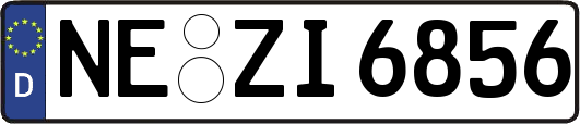 NE-ZI6856