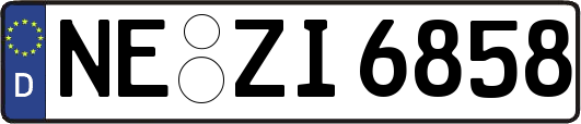 NE-ZI6858