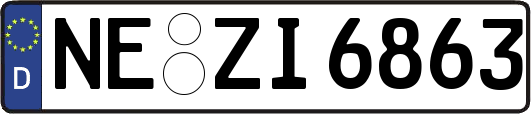 NE-ZI6863