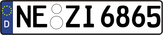 NE-ZI6865