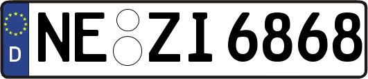 NE-ZI6868