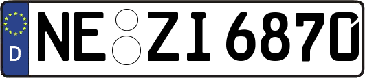 NE-ZI6870