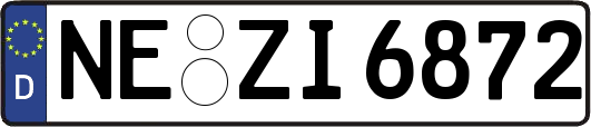 NE-ZI6872