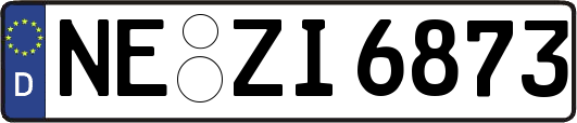 NE-ZI6873