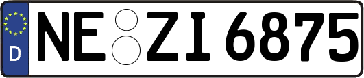NE-ZI6875