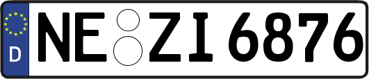 NE-ZI6876