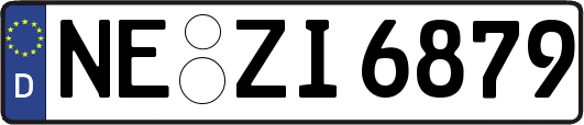 NE-ZI6879