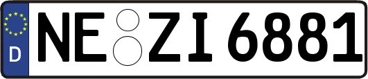 NE-ZI6881