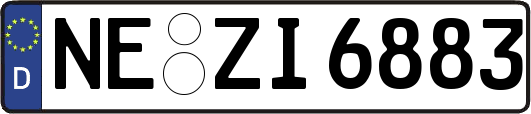 NE-ZI6883