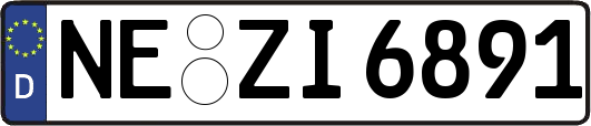 NE-ZI6891