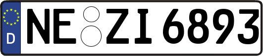 NE-ZI6893