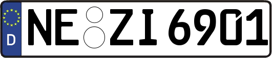 NE-ZI6901