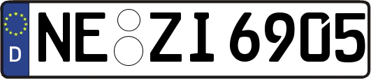 NE-ZI6905
