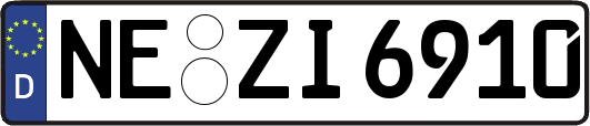 NE-ZI6910