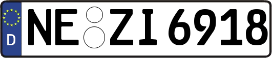 NE-ZI6918