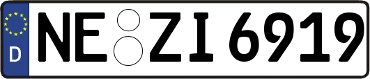 NE-ZI6919