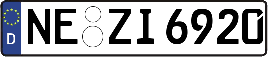 NE-ZI6920