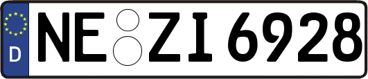NE-ZI6928