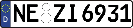 NE-ZI6931