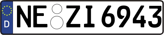 NE-ZI6943