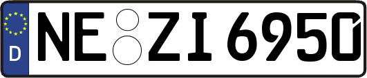 NE-ZI6950