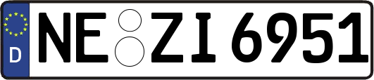 NE-ZI6951