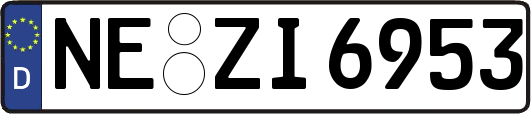 NE-ZI6953