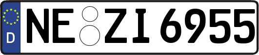 NE-ZI6955