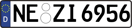 NE-ZI6956