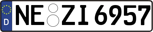 NE-ZI6957