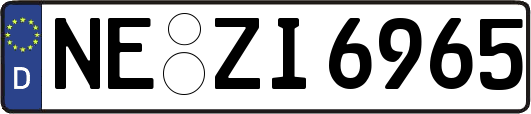 NE-ZI6965