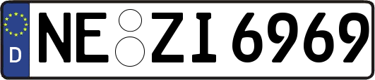 NE-ZI6969