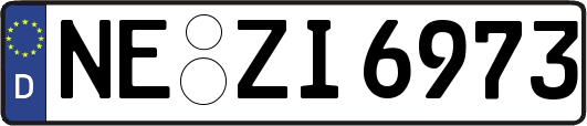 NE-ZI6973