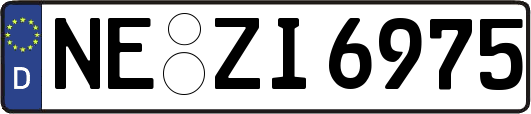 NE-ZI6975