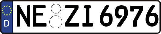 NE-ZI6976