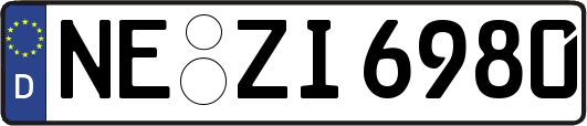 NE-ZI6980