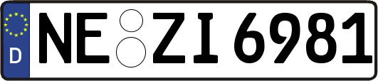 NE-ZI6981
