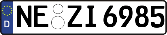 NE-ZI6985