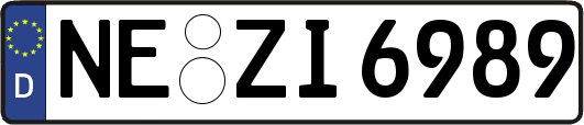 NE-ZI6989