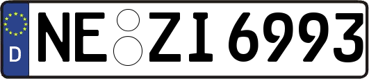 NE-ZI6993