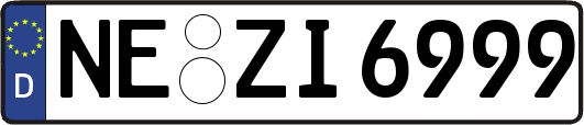 NE-ZI6999