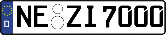 NE-ZI7000