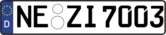 NE-ZI7003