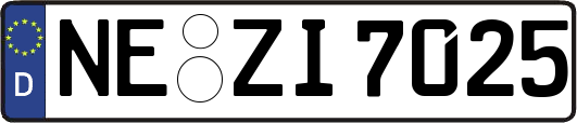 NE-ZI7025