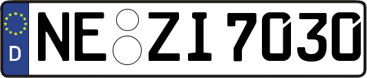 NE-ZI7030